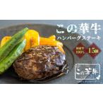 牛肉100% この華牛 ハンバーグステーキ 15個