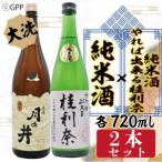 日本酒 ガルパン 720ml 2本 セット