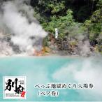 べっぷ地獄めぐり入場券 ペア券 _B133-001