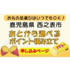 種子島 応援 寄附金 ポイント 積み立て あとから