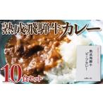 飛騨牛の極旨カレー 10食セット カレー