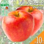 りんご シナノスイート 秀 特秀 10kg