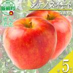 りんご シナノスイート 5kg