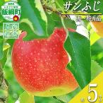 りんご サンふじ 秀 特秀 5kg