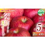 ふるさと納税 りんご 農家応援企画 シナノスイート 家庭用・訳あり5kg 【令和7年度収穫分】 ※沖縄県への配送不可 ※2025年10月上旬頃から11月上.. 長野県飯綱町