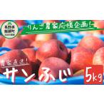 ショッピングふるさと納税 訳あり 不揃い ふるさと納税 りんご  サンふじ ５Kg  訳あり  家庭用 【 リンゴ 林檎 訳アリ 果物 フルーツ 不揃い 長野県産 長野  13000円 】 農家応援企画 令.. 長野県飯綱町