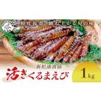 ふるさと納税 【 先行予約 】【宅配BOX不可】新松浦漁協 活きくるまえび1kg( ふるさと納税 車海老 クルマエビ 車エビ 車えび くるまえび 海老 .. 長崎県松浦市