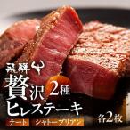飛騨牛 シャトーブリアン&テート 計4枚