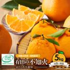有田の不知火 しらぬひ 5kg