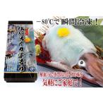 1117 仙崎活イカ姿造り