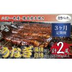 うなぎ食べ比べセット 三河一色産 備長炭手焼き