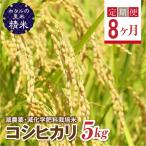 環境に配慮し農薬を減らした栽培米 コシヒカリ精米5kg