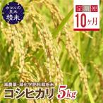 環境に配慮し農薬を減らした栽培米 コシヒカリ精米5kg