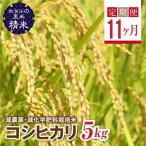 環境に配慮し農薬を減らした栽培米 コシヒカリ精米5kg