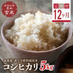 環境に配慮し農薬を減らした栽培米 コシヒカリ玄米5kg