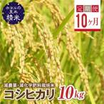 環境に配慮し農薬を減らした栽培米 コシヒカリ精米10kg