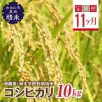 環境に配慮し農薬を減らした栽培米 コシヒカリ精米10kg
