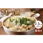 ふるさと納税 食工房すいぐん 和牛もつ鍋(醤油)2〜3人前×2セット|もつ鍋 もつ鍋 もつ鍋 もつ鍋 もつ鍋 もつ鍋【B068】 佐賀県玄海町