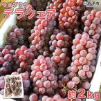 果物 フルーツ ぶどう 葡萄 種無し たねなし