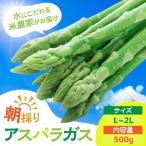 fu.... налог . рис сельское хозяйство дом ..... спаржа L~2L 500g.. город Ikemoto сельское хозяйство . спаржа Gifu префектура .. город 