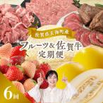 フルーツ&佐賀牛 定期便 FN-Limited-SP