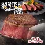牛肉 ヒレ 佐賀牛シャトーブリアン&フィレ 約2.9kg