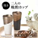 煌き 二人の晩酌カップ ペアセット 食器 酒器