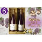 ふるさと納税 ＼先行予約／ 6か月熟成「紫波町のぶどうジュース２本セット」ワイン製造者がつくるぶどうジュース（AL062-1) 岩手県紫波町