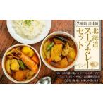 スープカレー セット 2種類 300g×4個