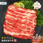 雄武産牛肉セット 冷凍 牛肩ロース肉500g×2
