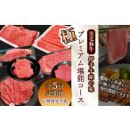 5回定期便 伊予牛絹の味 プレミアム堪能コース