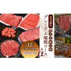 12回定期便 伊予牛絹の味 プレミアム 堪能コース+α