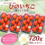 いちご 摘みたて完熟 ひのいちご 約180g×4トレー