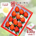 いちご 特選日野苺 約450g