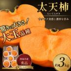 太天柿 秀品 約3kg