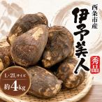 里芋 伊予美人 秀品約4kg L~2Lサイズ
