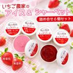かわいいねこパン3個セット 産の自然栽培米でつくる