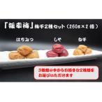 媛幸梅 梅干2種セット 260g×2個
