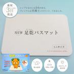 足乾 そっかん バスマット_ミニサイズ 珪藻土