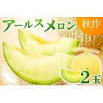 A-763 アールスメロン 2玉