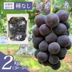 B-700 黒い宝石 種なしピオーネ 2kg