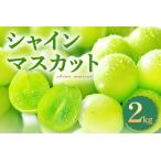 B-769 皮ごと食べられる種なしぶどうシャインマスカット 2kg