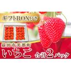 A-27 美都いちご BOX