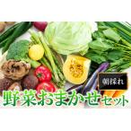 A-198 朝採れ地元 野菜おまかせセット