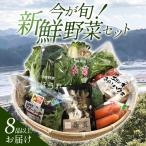 A-538 今が旬 新鮮野菜セット 8品目以上