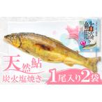 A-621 天然鮎の炭火塩焼きレトルト