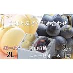 ふるさと納税 桃 ぶどう 2026年 先行予約 岡山 白桃 エース 2玉×約250g(2Lサイズ、早生種・中生種)ニュー ピオーネ 約500g×1房 詰.. 岡山県玉野市