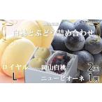 ふるさと納税 桃 ぶどう 2026年 先行予約 岡山 白桃 ロイヤル 2玉×約200g(Lサイズ、早生種・中生種)ニュー ピオーネ 1房約400g 詰め合わ.. 岡山県玉野市