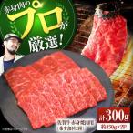 佐賀牛 赤身焼肉用 希少部位2種 300g