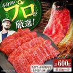 佐賀牛 赤身焼肉用 希少部位2種 600g